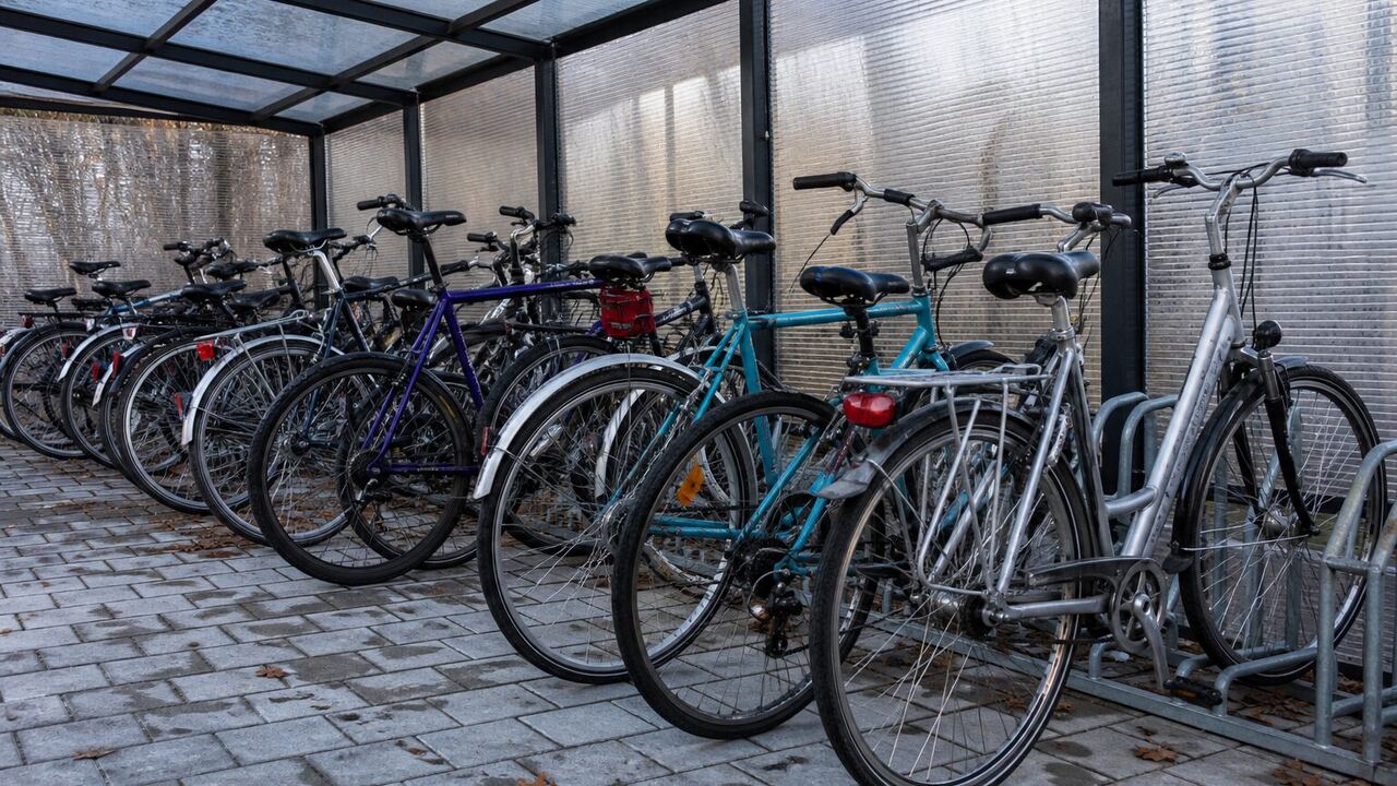Rangée de vélos de ville dans un abri couvert